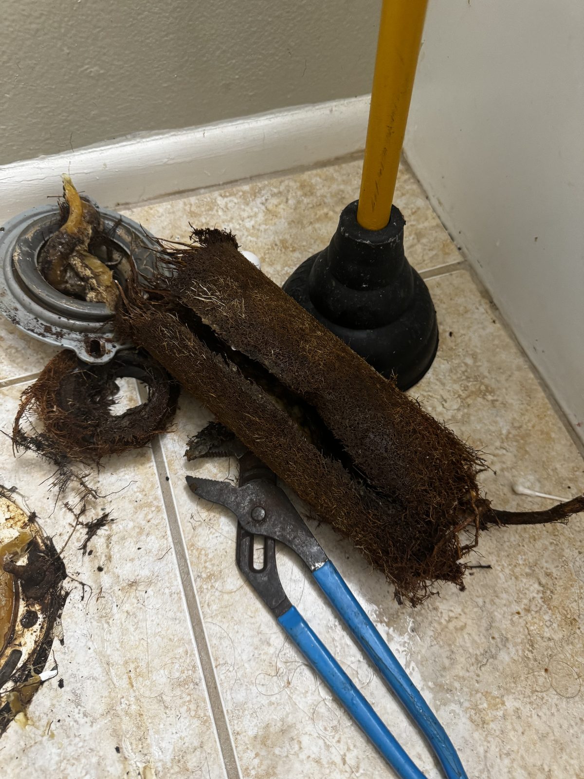 Tree root intrusion found during sewer camera inspection, Cape Coral FL